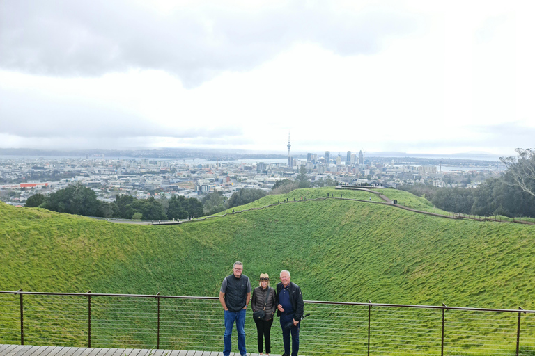 Tour di un giorno intero dei punti salienti della città di Auckland