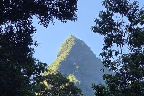 Tahiti : Randonnée dans la Vallée de la Fautaua