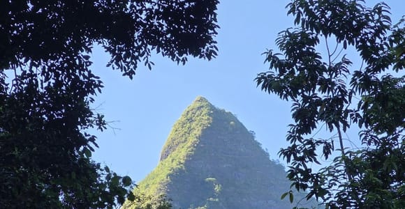 Tahiti: Hike in the Fautaua Valley