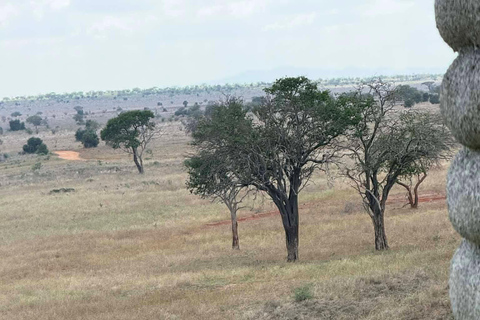 2-Day Tsavo East & Salt Lick Safari–Red Elephants & Treetop