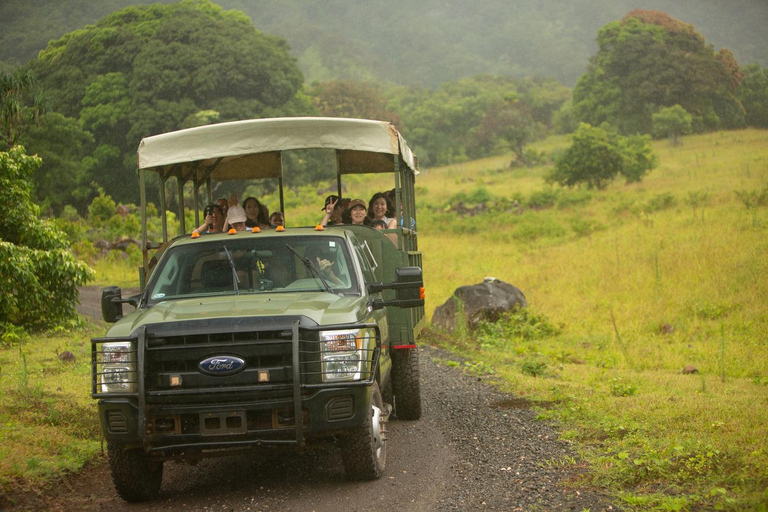 Oahu: Kualoa Open Air Jungle Expedition Tour