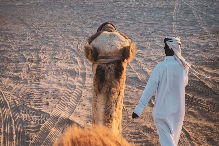 Combinaison de la ville de Doha et du safari dans le désert