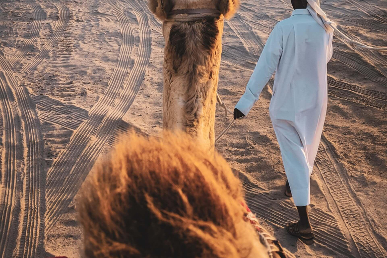 Combinaison de la ville de Doha et du safari dans le désert