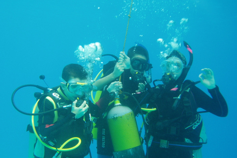 Mer Rouge : sortie plongée sous-marine d'une journéeSortie avec prise en charge depuis Hurghada