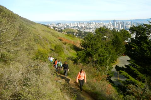 San Francisco 3-Hour Castro & Twin Peaks Urban Hiking Tour