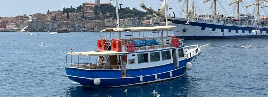 Excursion en bateau au départ de Vrsar : coucher de soleil et rencontre avec les dauphins