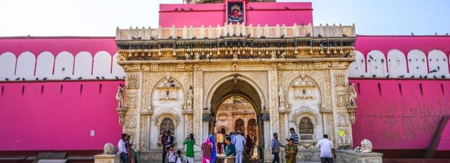 Bikaner : visite guidée d'une demi-journée du temple Karni Mata