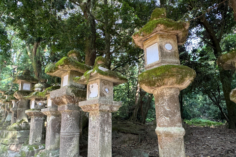 Nara: Erkunde den Kasuga Taisha Schrein in nur 90 Minuten.