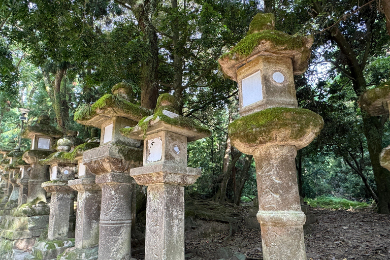 Nara: Kasuga Taisha, Patrimonio dell&#039;Umanità e Santuario del Cervo Sacro