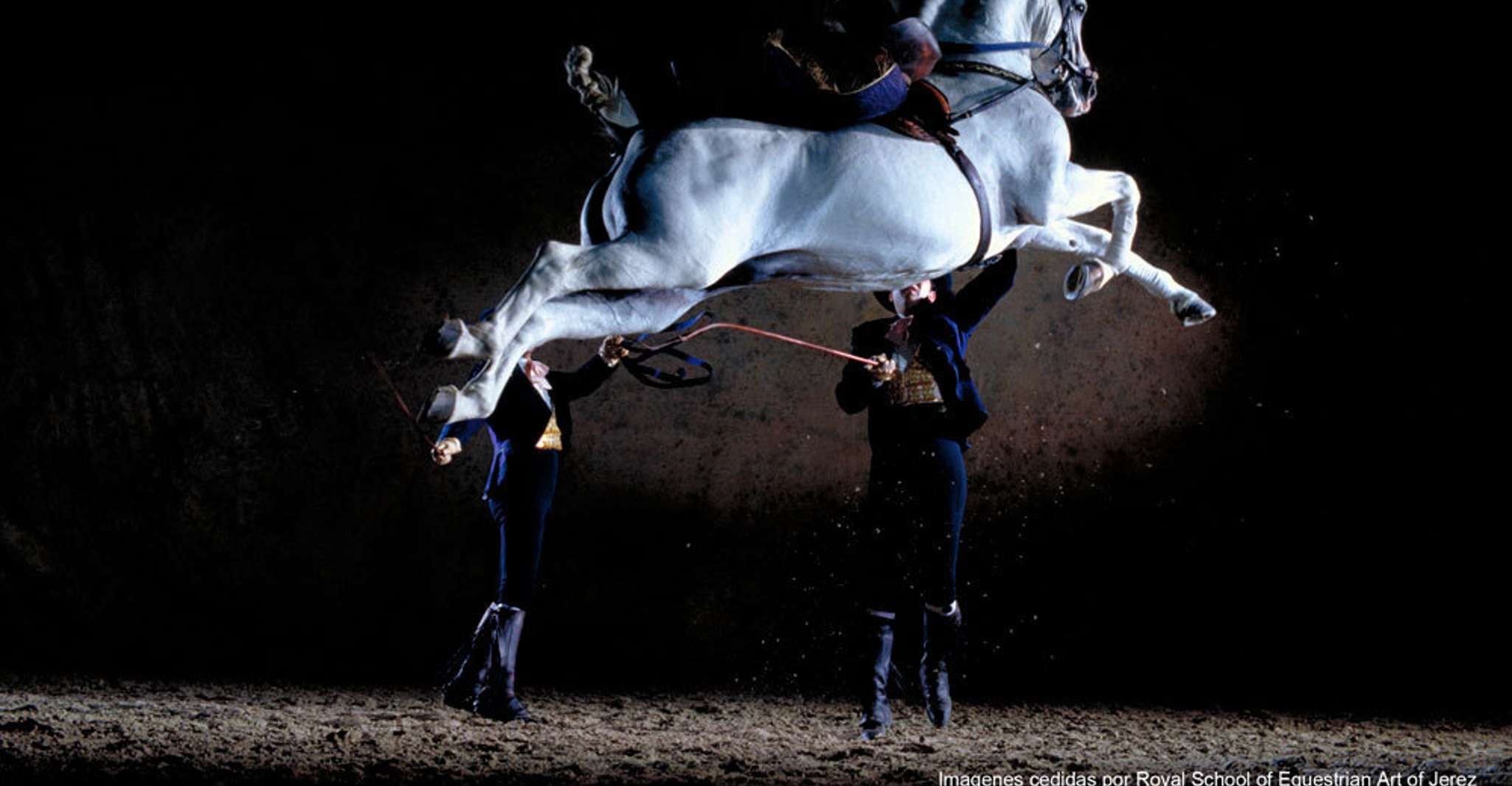 Seville: Jerez, Cadiz Wine Tasting with Optional Horse Show photo 6