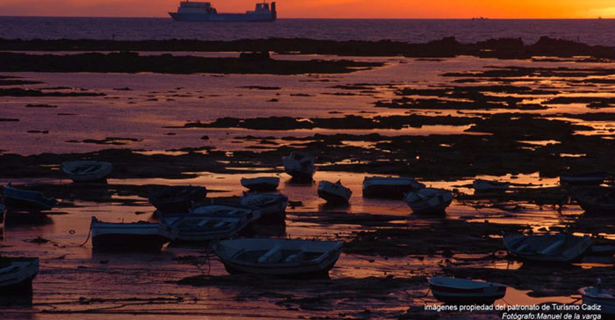 Seville: Jerez, Cadiz Wine Tasting with Optional Horse Show photo 7