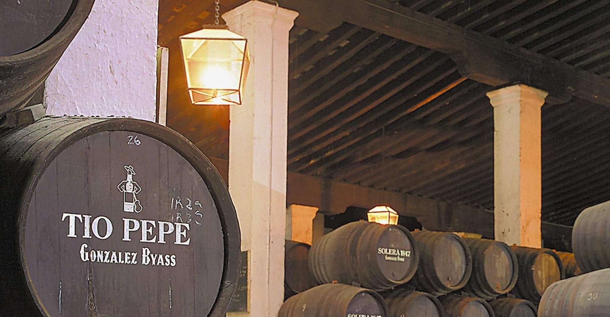 Seville: Jerez, Cadiz Wine Tasting with Optional Horse Show photo 2