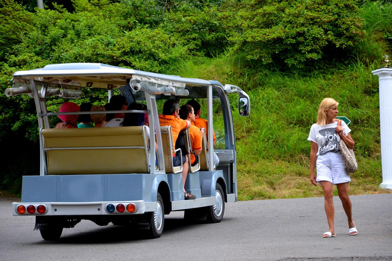 Black Sea: Magnetic Beach and Batumi Botanical Garden Tour