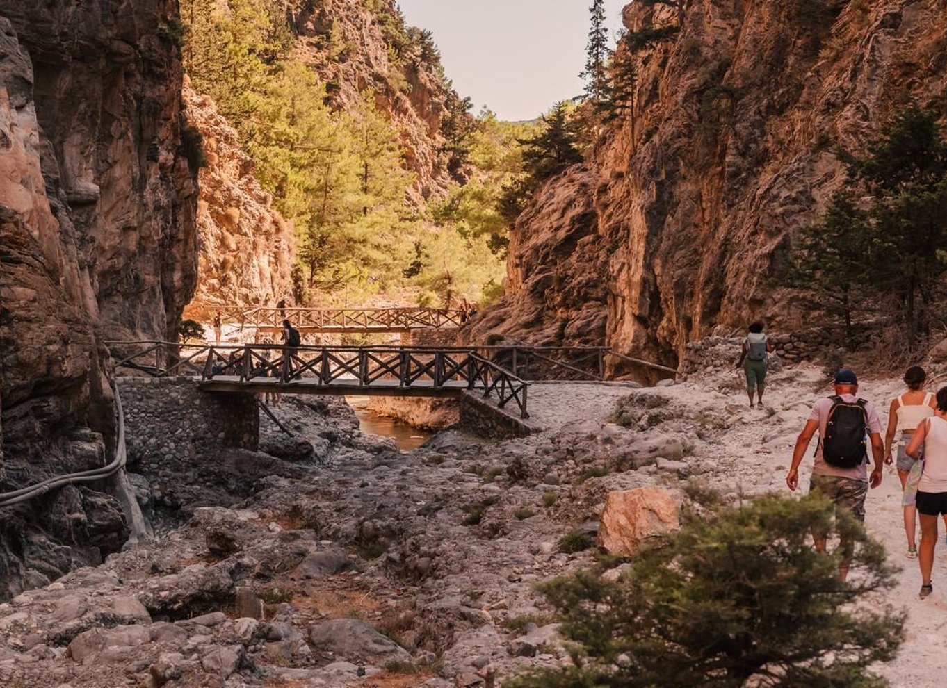 Fra Chania: Heldagsudflugt i Samaria-kløften med guide