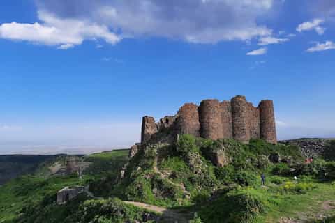 Jinsiy aloqa haqida gapirish mushak erkaklar