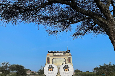 Arusha: Viagem de 1 dia à Cratera de Ngorongoro