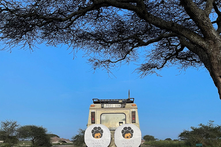 Arusha: Viagem de 1 dia à Cratera de Ngorongoro