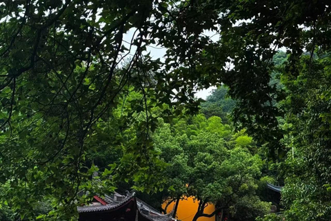 Hangzhou: Lingyin Temple & Feilaifeng Entry Ticket