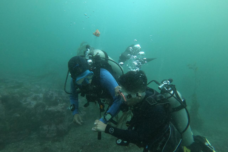 Lima: Discover Scuba Diving - Eerste ervaring