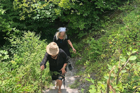 From Thessaloniki: Mount Olympus Private Hike