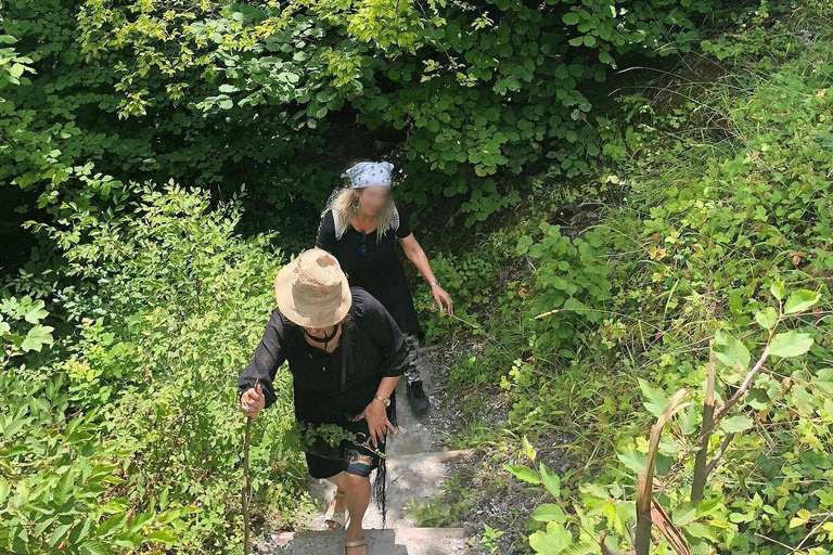 From Thessaloniki: Mount Olympus Private Hike