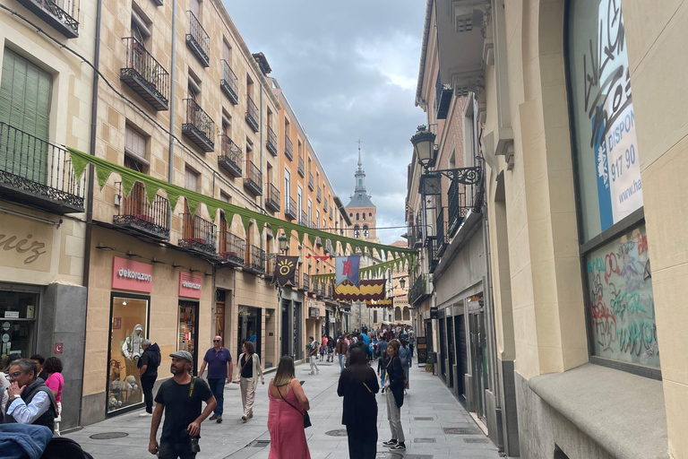 Segovia: Private Minivan Tour from Madrid