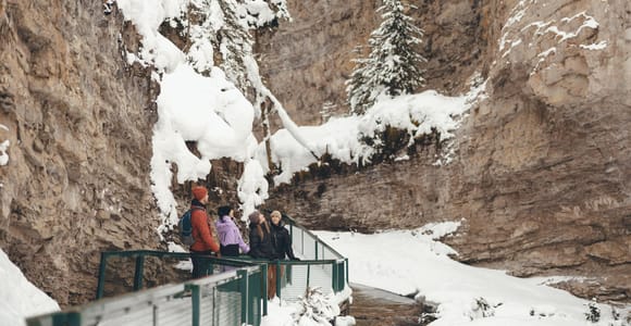 Banff/Canmore: Johnston Canyon Frozen Falls