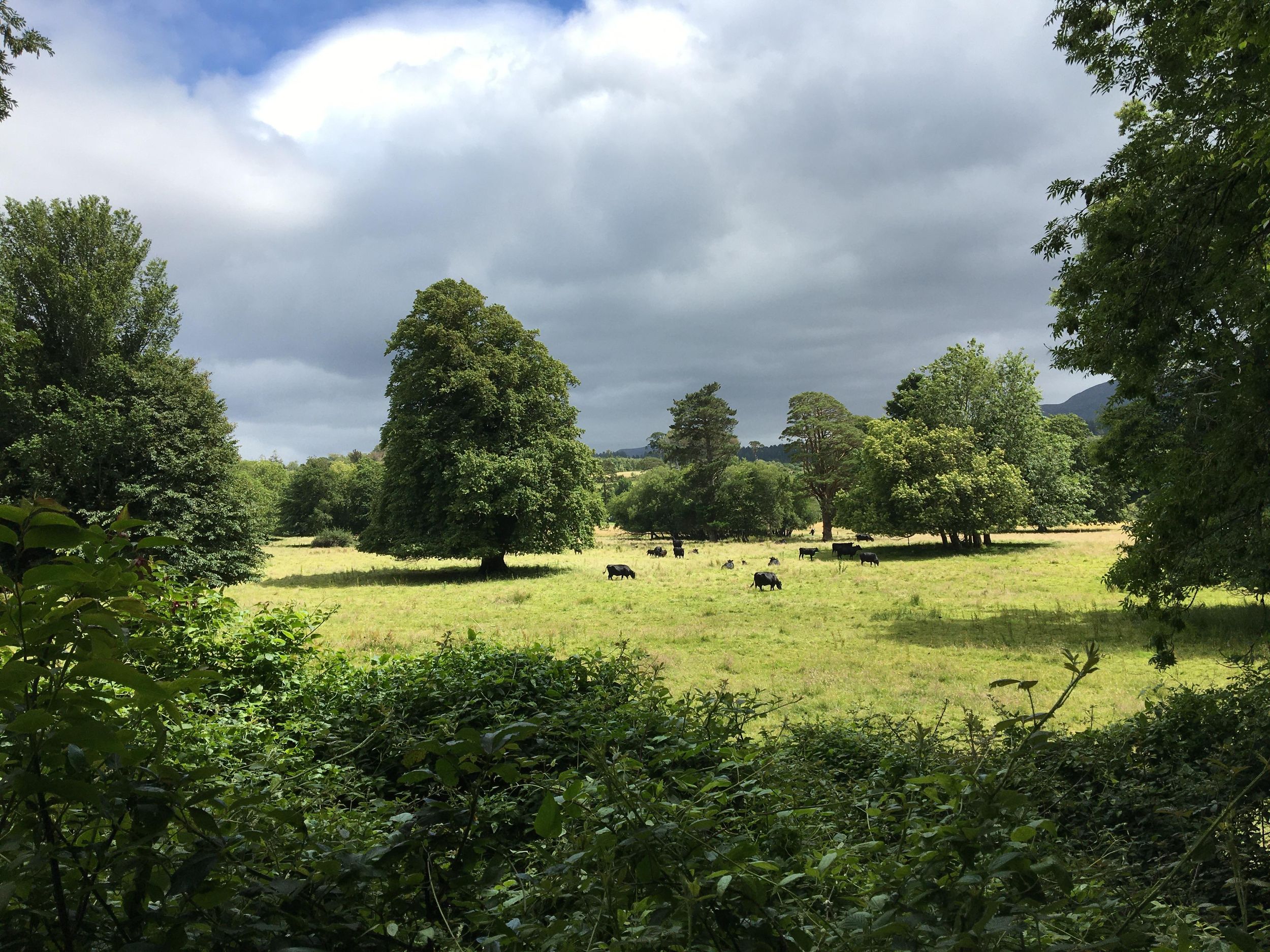 Killarney National Park Highlights
