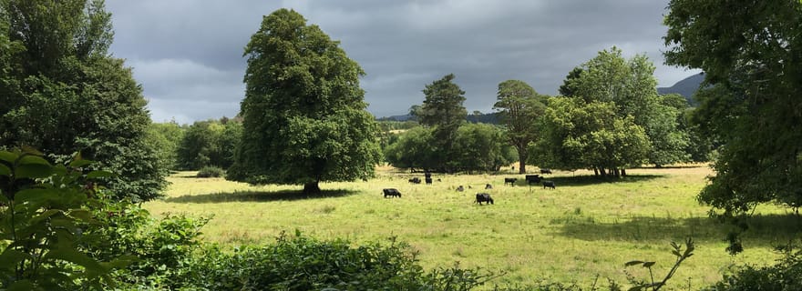 Points forts du parc national de Killarney