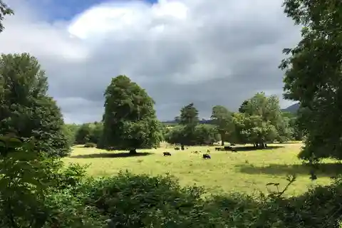Lo más destacado del Parque Nacional de Killarney