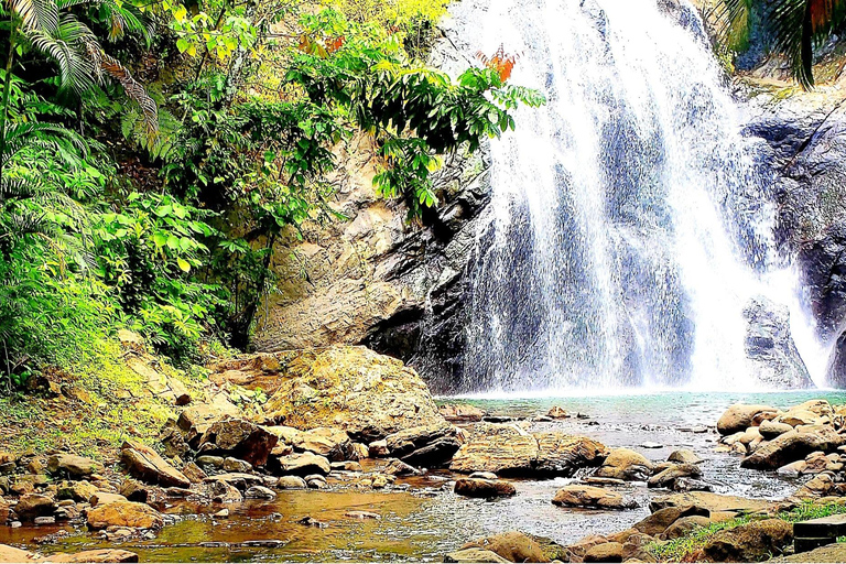 Vanua Levu: Vuadomo Waterfall Tour with Lunch & Transfer