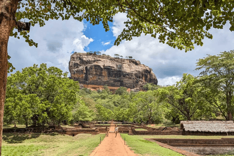 Ella: Sigiriya Rock, Dambulla Temple & Village Safari