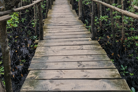 Zanzíbar: Excursión Privada al Bosque y Granja de Especias de Jozani con Almuerzo
