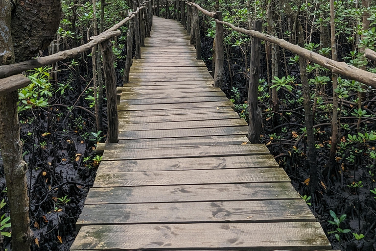 Zanzíbar: Excursión Privada al Bosque y Granja de Especias de Jozani con Almuerzo
