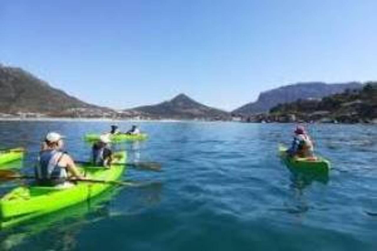 Simon's Town: Guided Kayak Adventure