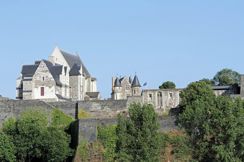 Bezoek aan Château d&#039;Angers en wijnproeverij