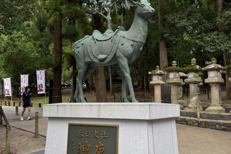 Nara: Private Car Tour of Hidden Gems & Ancient Icons