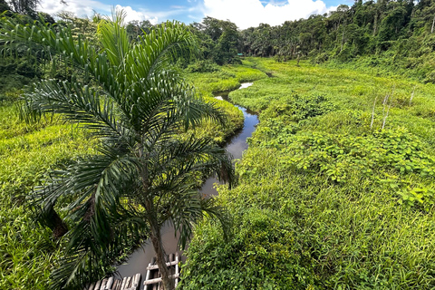 Manu&#039;s Park Odyssey - Embárcate en una expedición de 4 días por la selva