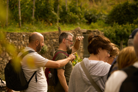 From Florence: Cinque Terre Day Trip with stop in Pisa Cinque Terre: Semi-Private Tour