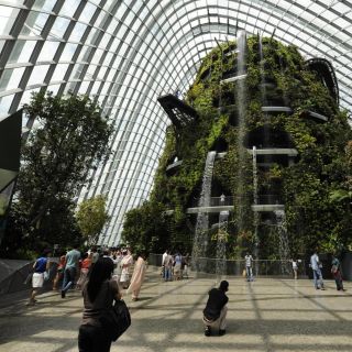 Singapore Gardens by the Bay: National Garden Day Tour