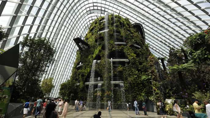 singapore gardens by the bay national garden day tour