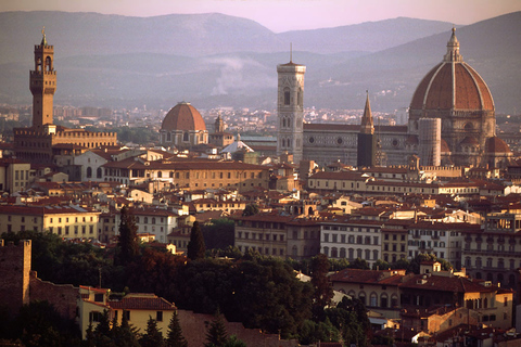 Excursões Terrestres Privadas em Pisa e Florença saindo de Livorno