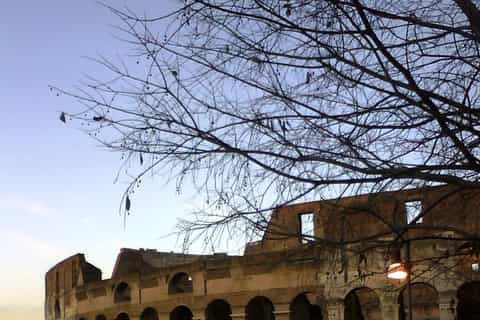 From Civitavecchia: Private Cruise Shore Excursion to Rome