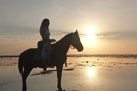 Gili Islands: Horseback Ride on the Beach