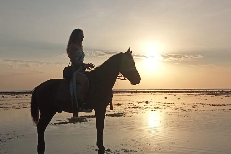 Gili Islands: Horseback Ride on the Beach