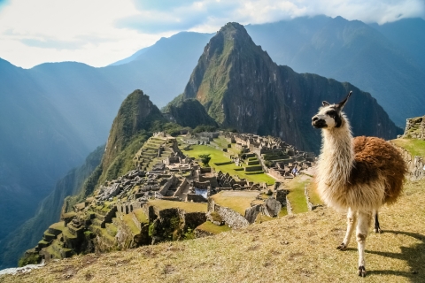 Von Cusco aus: Machu Picchu Private Tour & EintrittskartePrivate Tour nach Machu Picchu mit dem Zug Vistadome Circuit 5