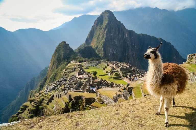 Von Cusco aus: Machu Picchu Private Tour & EintrittskartePrivate Tour nach Machu Picchu mit dem Zug Vistadome