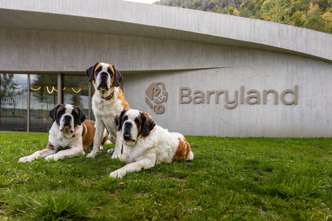 From Geneva: Chamonix Tour with St Bernard Dogs & Train Ride