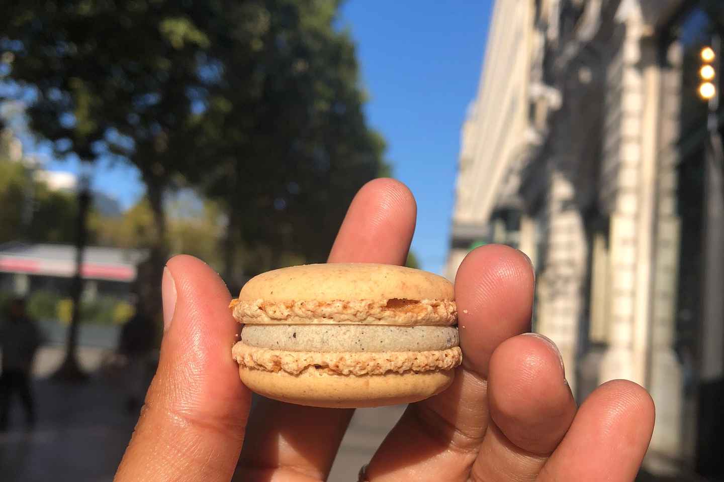 8-hour panoramic tour of Paris in Portuguese