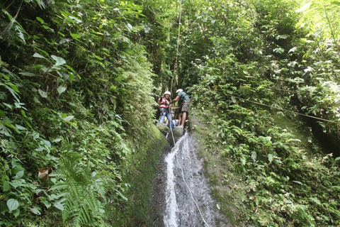 La Fortuna: Rafting y Barranquismo con Tarzán Swing